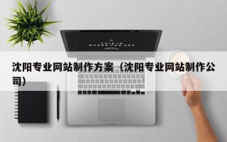 建湖沈阳专业网站制作方案（沈阳专业网站制作公司）